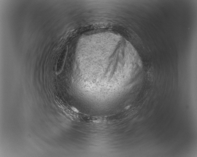 X0000076300961200610201542