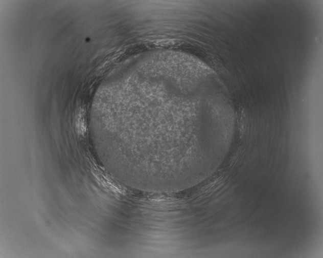 X0000076300962200610201542