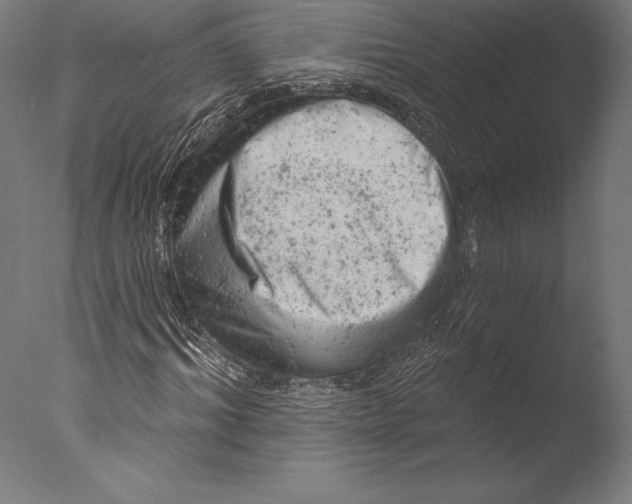 X0000076300964200610201542