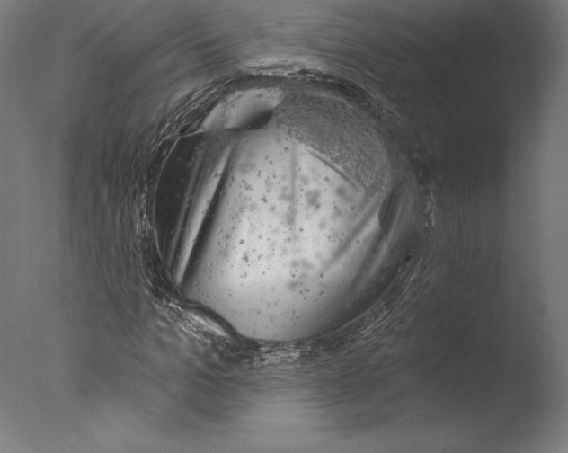 X0000076300965200610201542