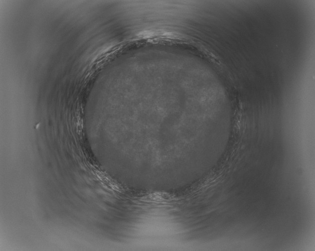 X0000076300966200610201542