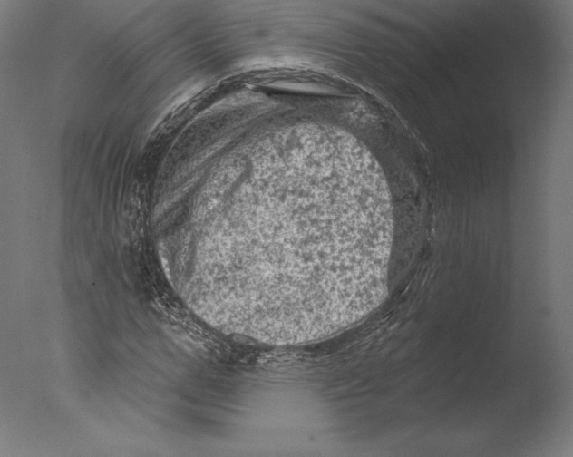 X0000076300967200610201542