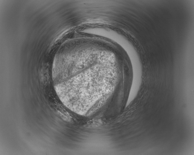 X0000076300968200610201542