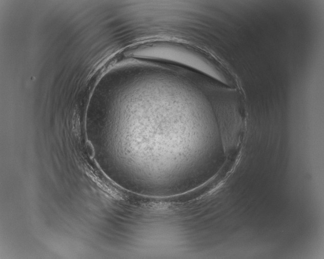 X0000076300969200610201542