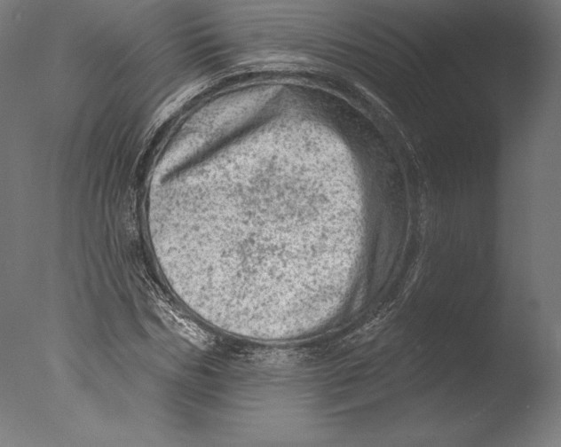 X0000076300970200610201542