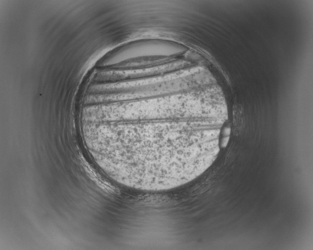 X0000076300972200610201542