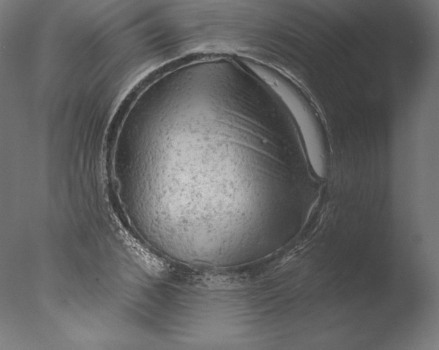 X0000076300976200610201542