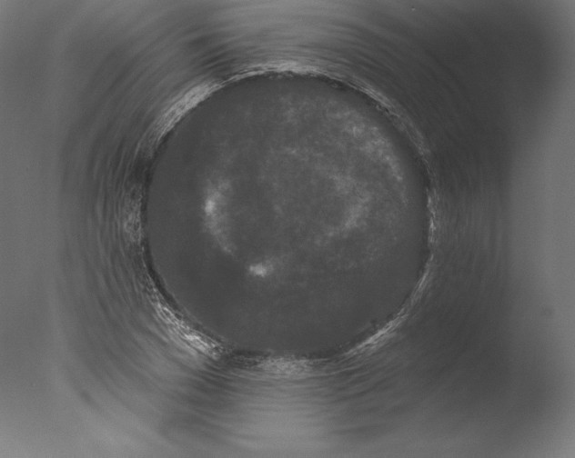 X0000076300977200610201542