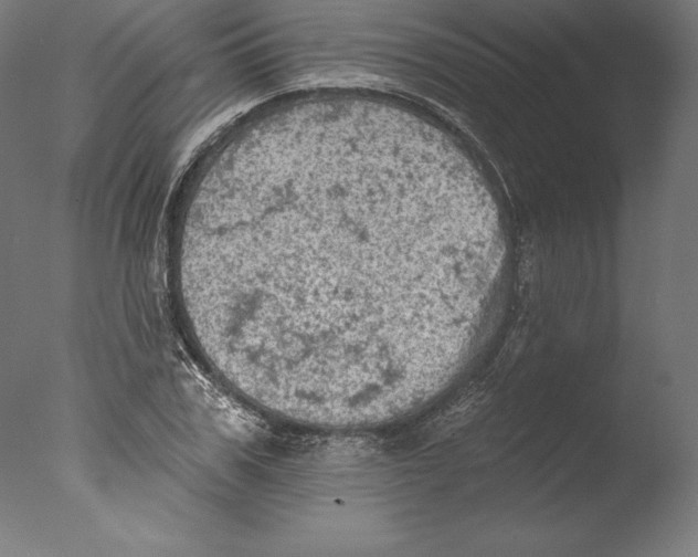 X0000076300979200610201542