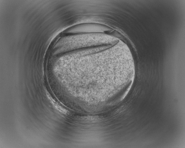 X0000076300980200610201542