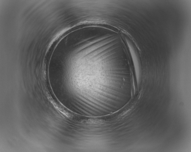 X0000076300981200610201542