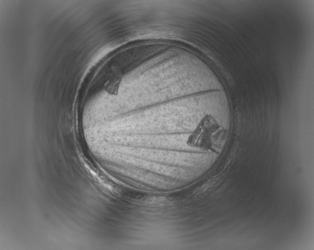 X0000076300982200610201542