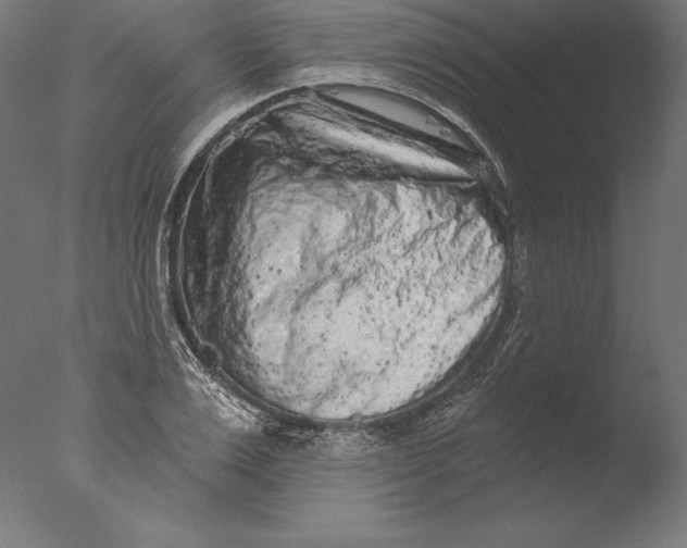 X0000076300983200610201542