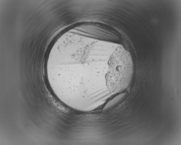 X0000076300984200610201542