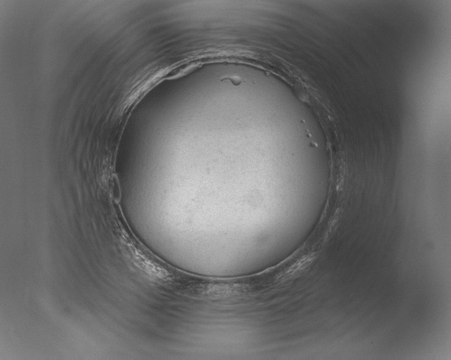 X0000076300985200610201542