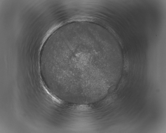 X0000076300986200610201542