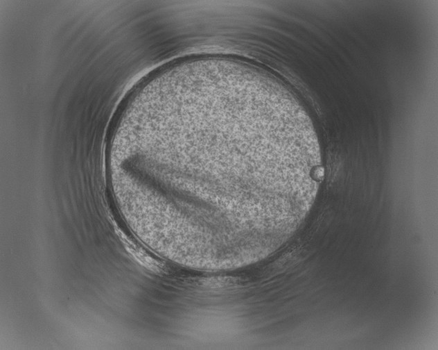 X0000076300988200610201542