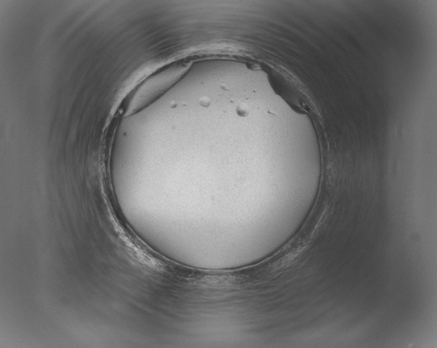 X0000076300989200610201542