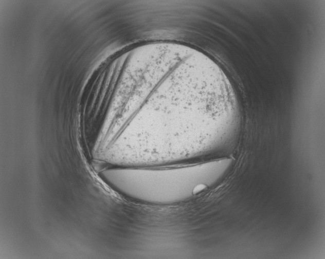 X0000076300992200610201542