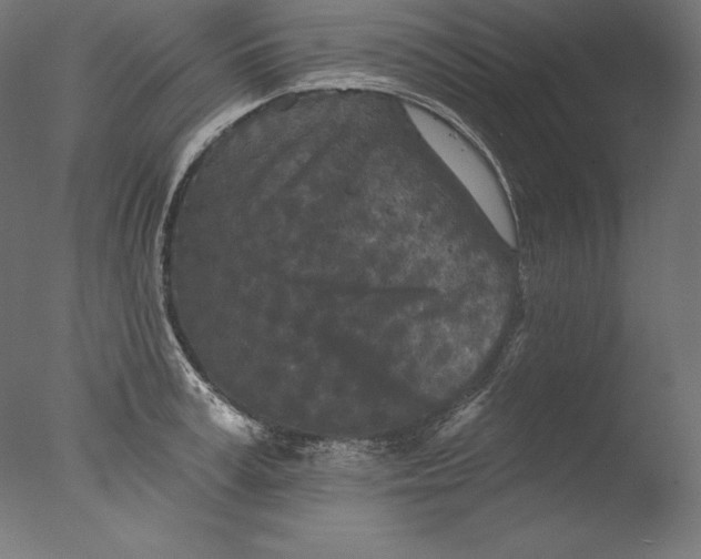 X0000076300995200610201542