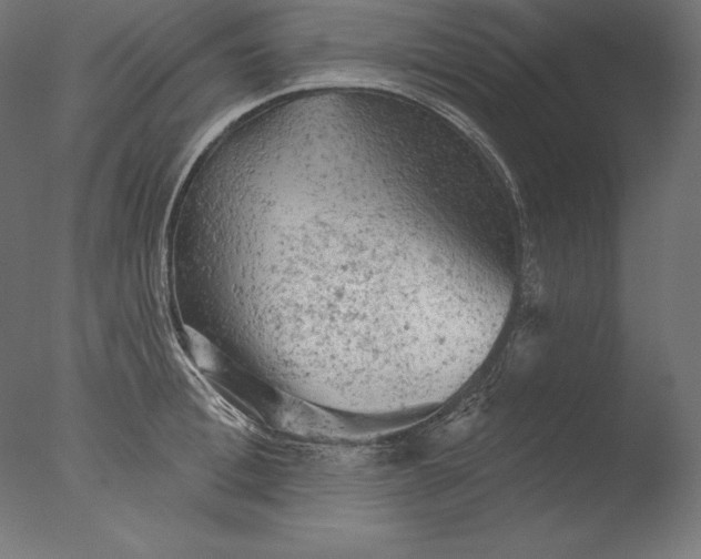 X0000076300996200610201542