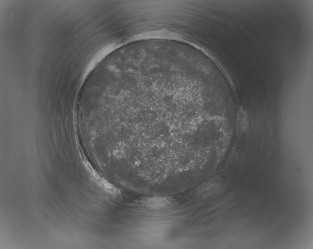 X0000076300998200610201542