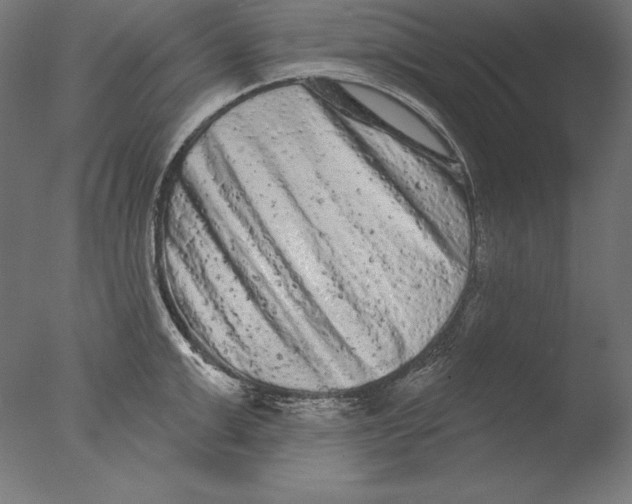 X0000076300999200610201542