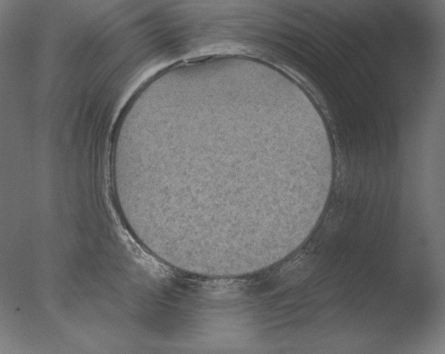 X0000076301000200610201542