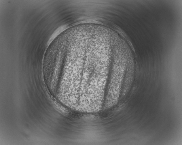 X0000076301002200610201542