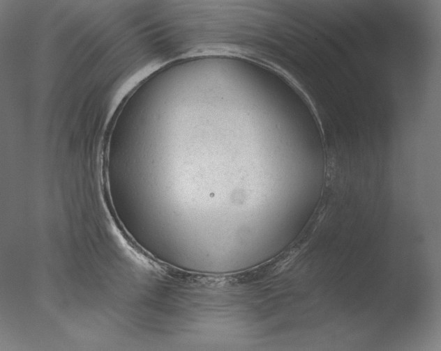 X0000076301003200610201542