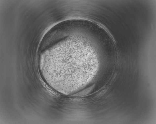 X0000076301004200610201542