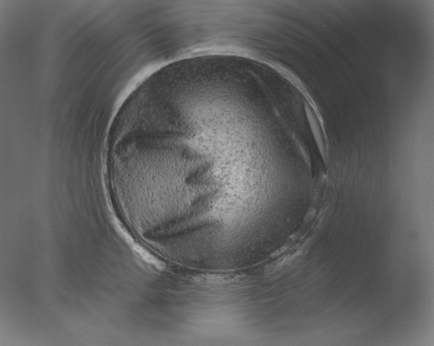 X0000076301005200610201542