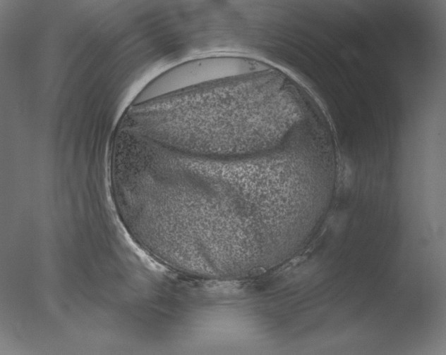 X0000076301006200610201542