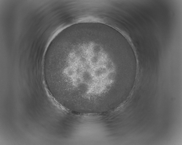 X0000076301008200610201541