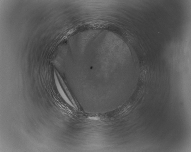 X0000076301010200610201540