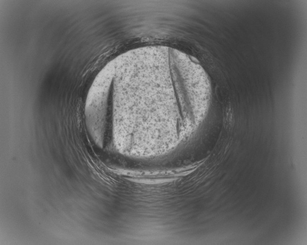 X0000076301012200610201540