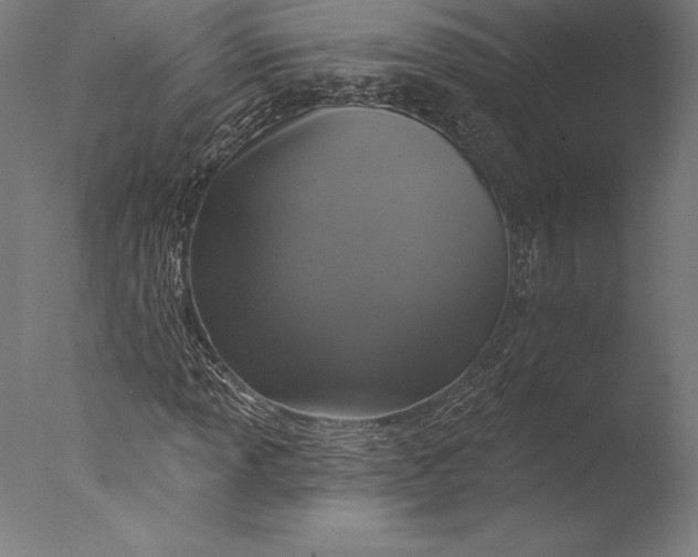 X0000076301013200610201540