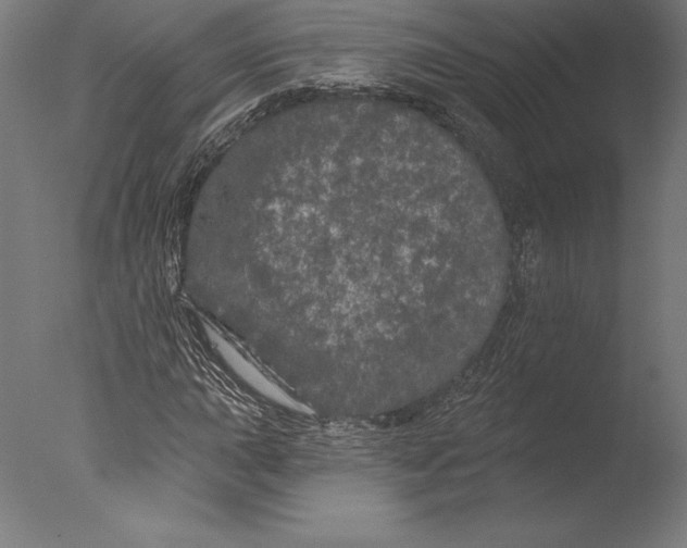 X0000076301015200610201540