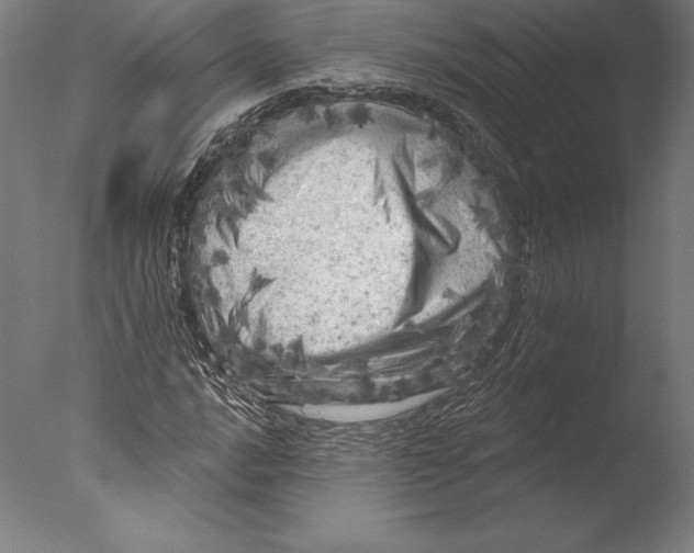 X0000076301016200610201540