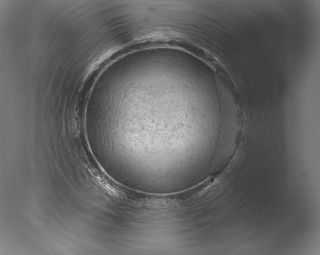 X0000076301018200610201540