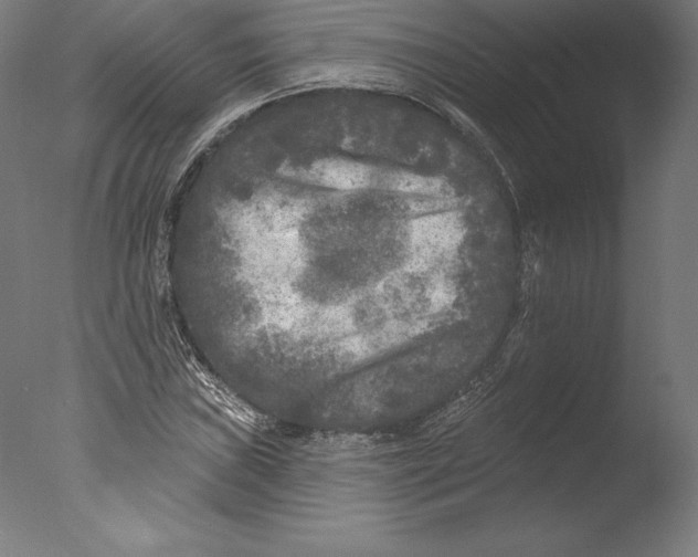 X0000076301019200610201541