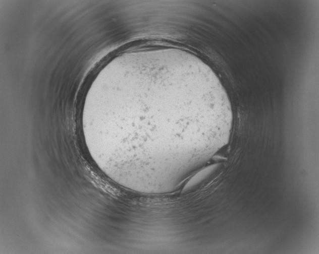 X0000076301020200610201541