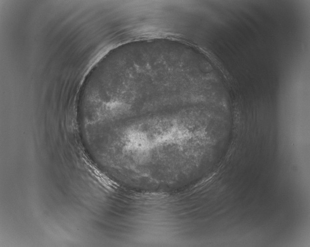 X0000076301023200610201541