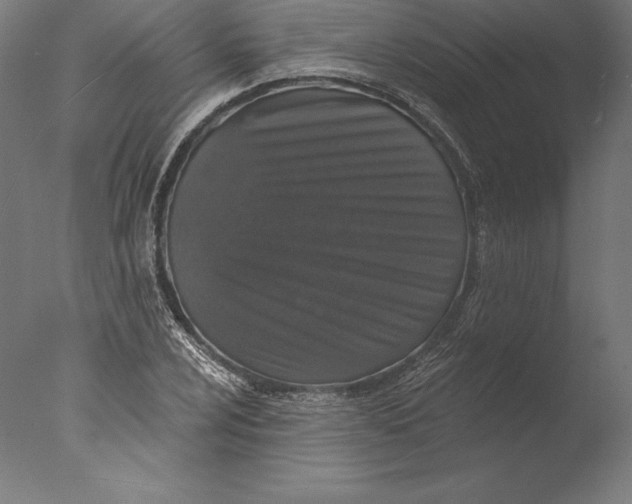 X0000076301024200610201541