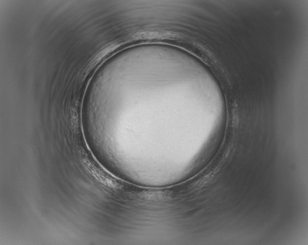 X0000076301025200610201541