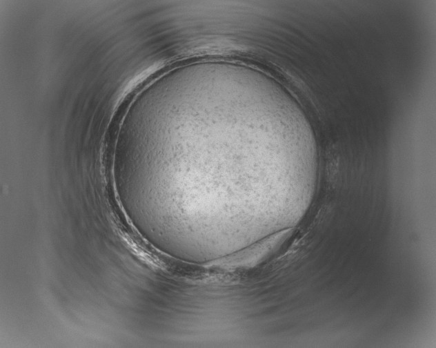 X0000076301026200610201541