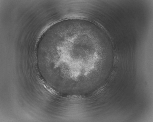 X0000076301027200610201541