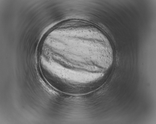 X0000076301028200610201541