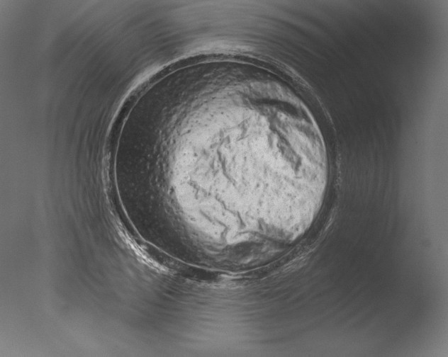 X0000076301029200610201541