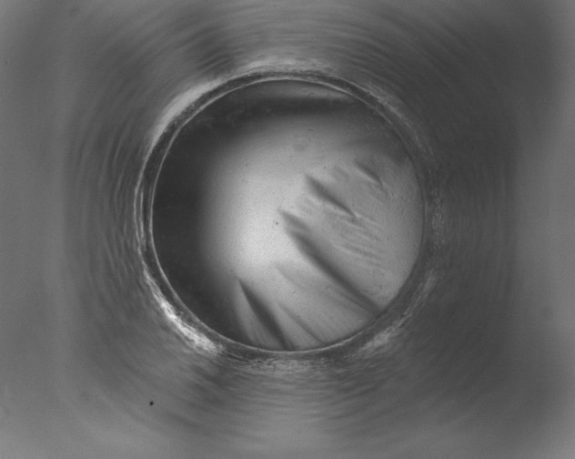 X0000076301030200610201541